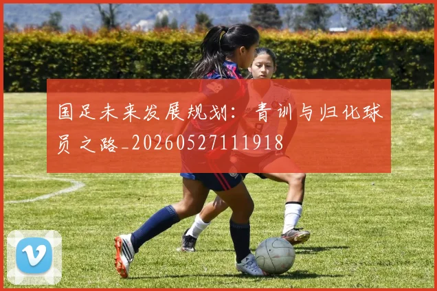 国足未来发展规划：青训与归化球员之路_20260527111918