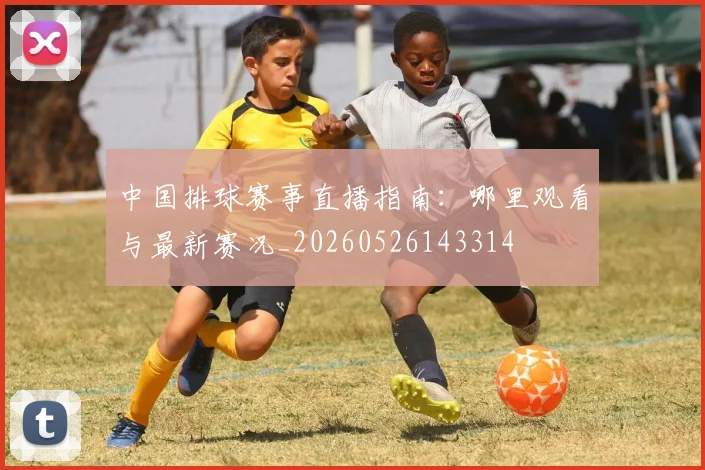 中国排球赛事直播指南：哪里观看与最新赛况_20260526143314